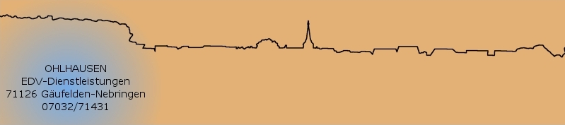 Die Skyline von Nebringen